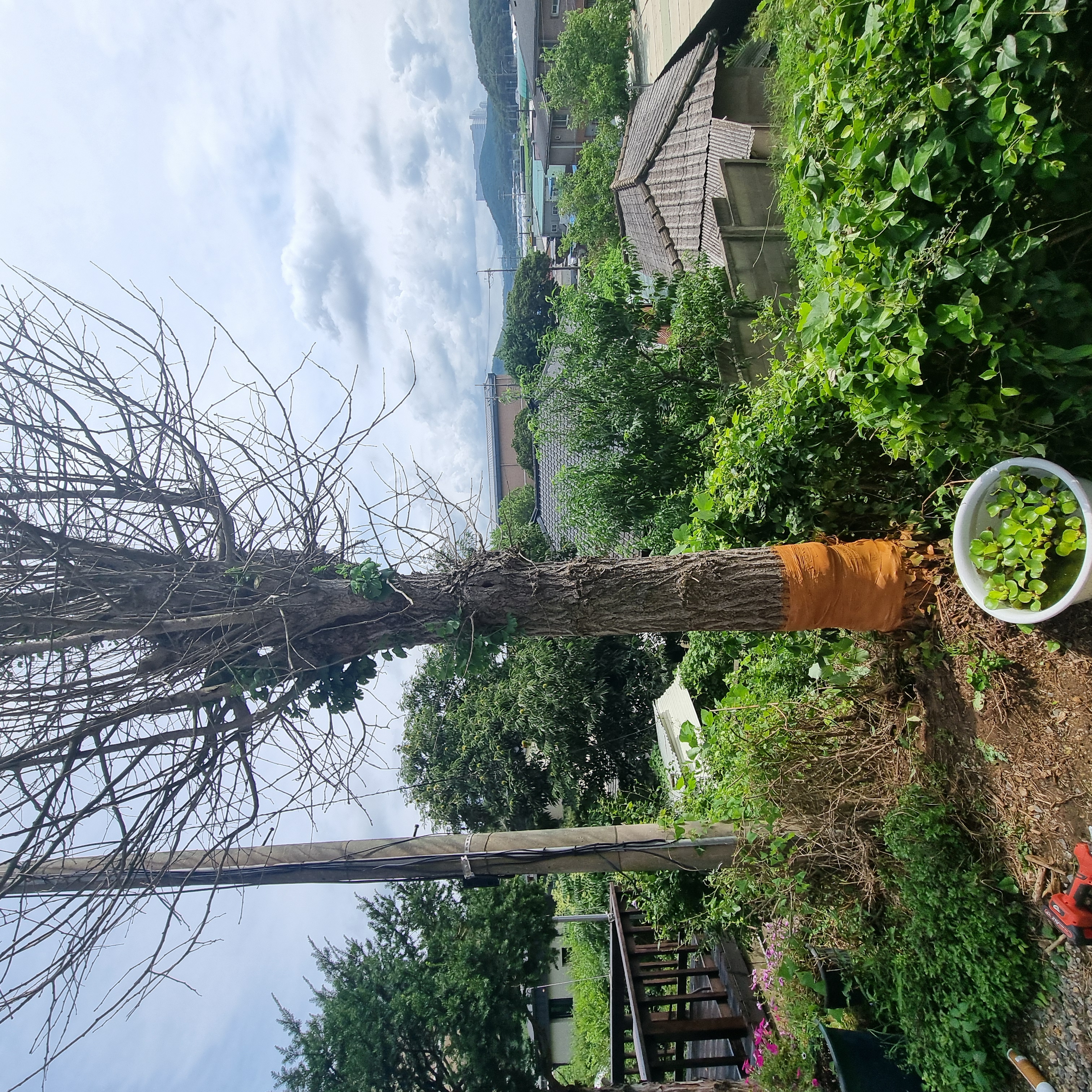 KakaoTalk_20250826_114351658_07.jpg